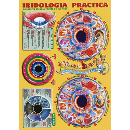 FICHA IRIDOLOGIA PRACTICA LA SALUD A TRAVES DE TUS OJOS (29,5 x 21 cm) FICHA IRIDOLOGIA PRACTICA LA SALUD A TRAVES DE TUS OJOS (29,5 x 21 cm)
