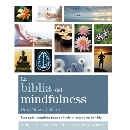 LA BIBLIA DEL MINDFULNESS LA BIBLIA DEL MINDFULNESS