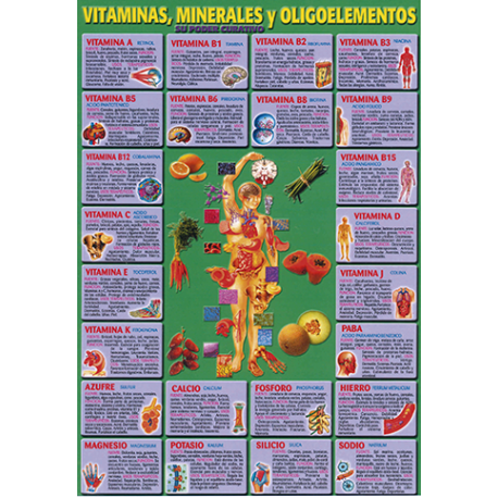 FICHA DE VITAMINAS MINERALES Y OLIGOELEMENTOS (29,5 x 21 cm) FICHA DE VITAMINAS MINERALES Y OLIGOELEMENTOS (29,5 x 21 cm)