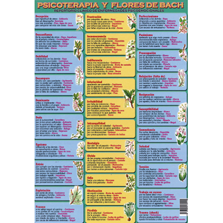 FICHA DE PSICOTERAPIA Y FLORES DE BACH (29,5 x 21 cm) FICHA DE PSICOTERAPIA Y FLORES DE BACH (29,5 x 21 cm)
