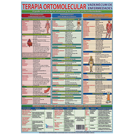 FICHA TERAPIA ORTOMOLECULAR VADEMECUM DE ENFERMEDADES (29,5 x 21 cm) FICHA TERAPIA ORTOMOLECULAR VADEMECUM DE ENFERMEDADES (29,5 x 21 cm)