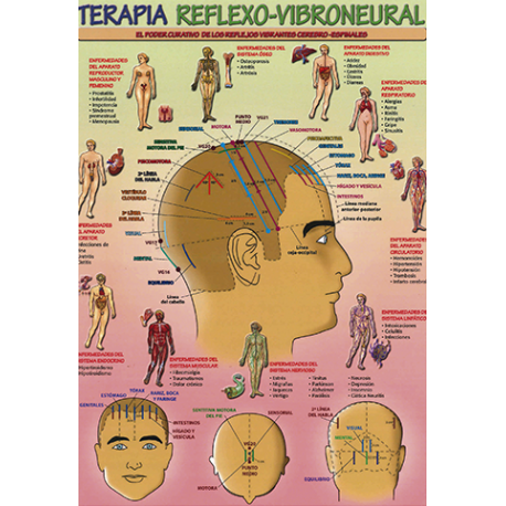 FICHA TERAPIA REFLEXO-VIBRONEURAL (29,5 x 21 cm) REF 4722 FICHA TERAPIA REFLEXO-VIBRONEURAL (29,5 x 21 cm) REF 4722