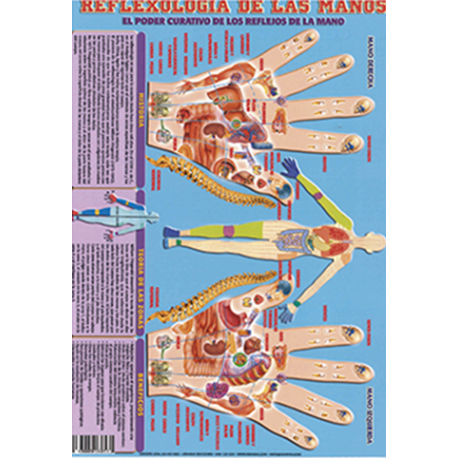 FICHA REFLEXOLOGIA DE LAS MANOS (29,5 x 21 cm) FICHA REFLEXOLOGIA DE LAS MANOS (29,5 x 21 cm)