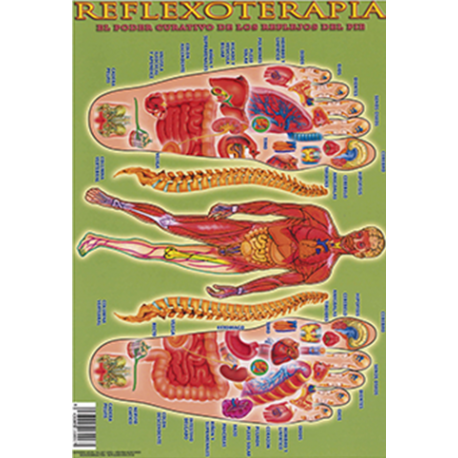 FICHA REFLEXOTERAPIA EL PODER CURATIVO DE LOS (29,5 x 21 cm) REF 2673 FICHA REFLEXOTERAPIA EL PODER CURATIVO DE LOS (29,5 x 21 cm) REF 2673