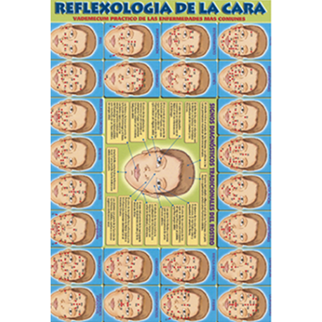 FICHA REFLEXOLOGIA DE LA CARA REF 4039 FICHA REFLEXOLOGIA DE LA CARA REF 4039
